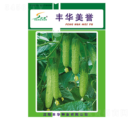 �S�A���u(y��)-�S�ϷN��-�S�A�N�I(y��)