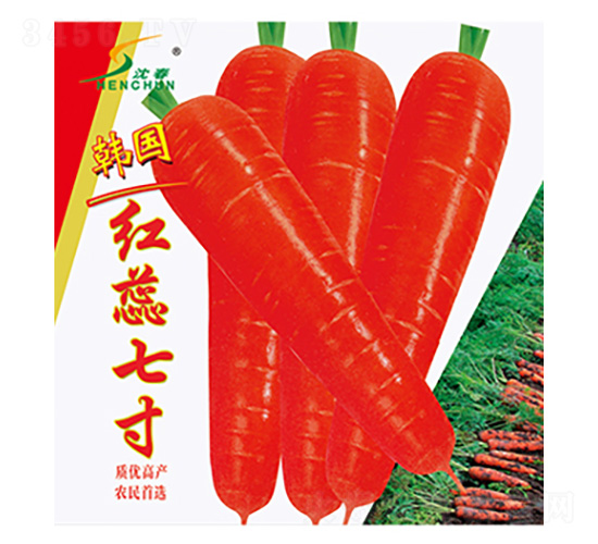 �n���t���ߴ�-�}���N��-�S�A�N�I(y��)