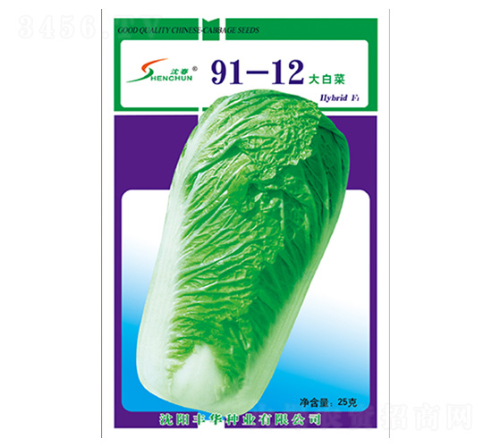 91-12��ײ�-�ײ˷N��-�S�A�N�I(y��)