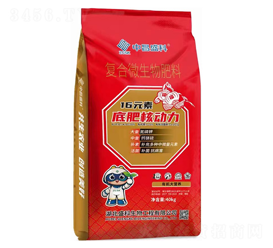 �ͺ�΢�������-�в�ʢ��-ʢ������