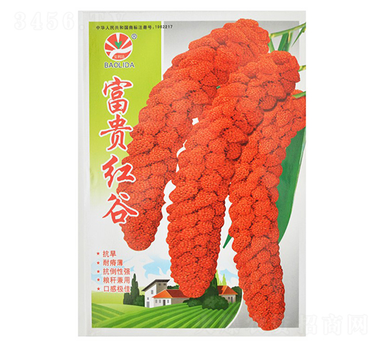 ���F�t��-���ӷN��