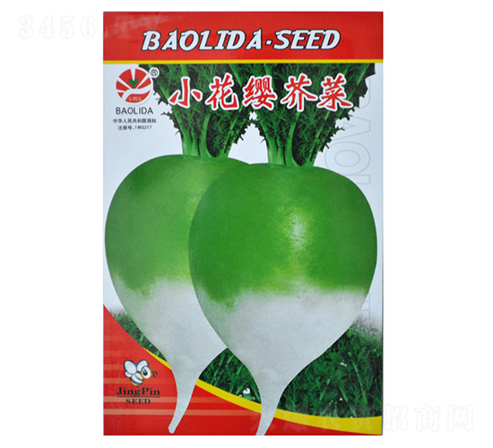 С���t���-��˷N��