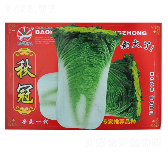 ���-��˷N��