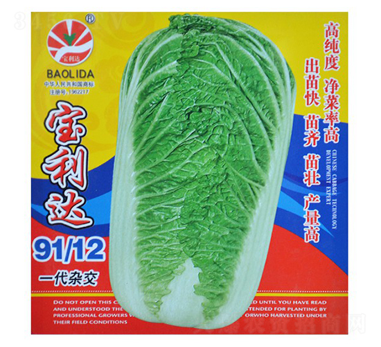 �����_(d��)91��12-��˷N��