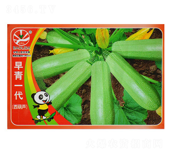 ����һ��-�����J�N��