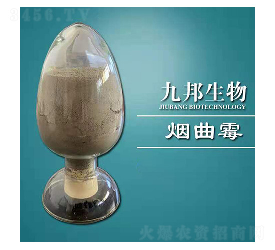 ����ù-�Ű�����