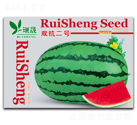 �p����̖(h��o)-���ϷN��-����