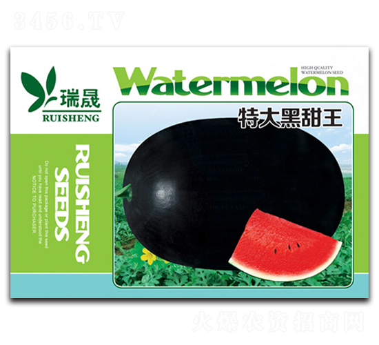 �ش������-���ϷN��-����