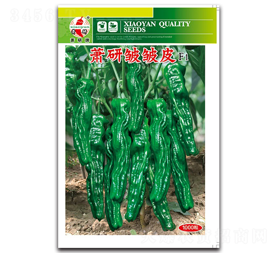 ʒ�а���Ƥ-�ݽ��N��-ʒ�зN�I(y��)