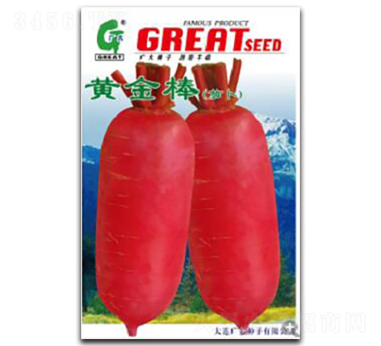 �S���-�}���N��-�V��