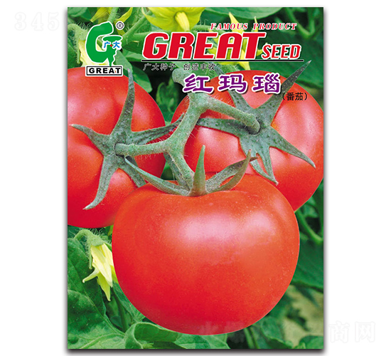 �t���-���ѷN��-�V��