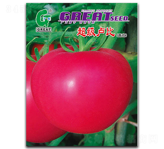 ����(j��)�R��-���ѷN��-�V��