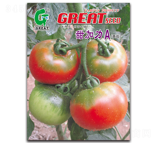 �����A-���ѷN��-�V��