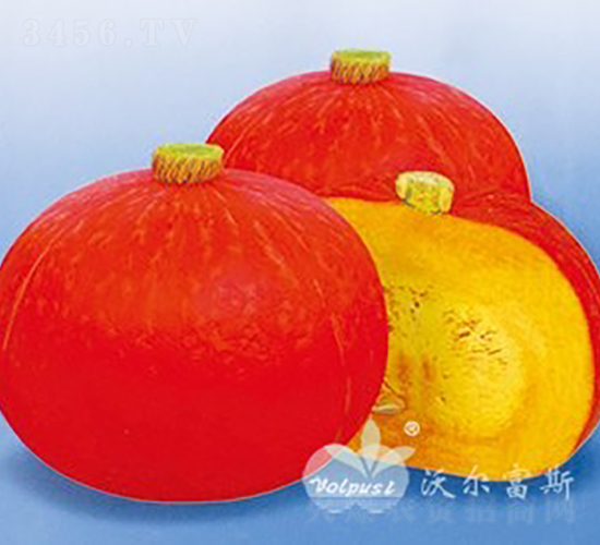 �����|��F1���M�ڃ�(y��u)�|(zh��)����tƤ�Ϲϣ�-�ϹϷN��-�֠���˹