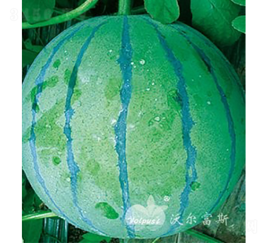 �f��F1���߮a(ch��n)��Ƥ�����������Ʒ�N��-���ϷN��-�֠���˹