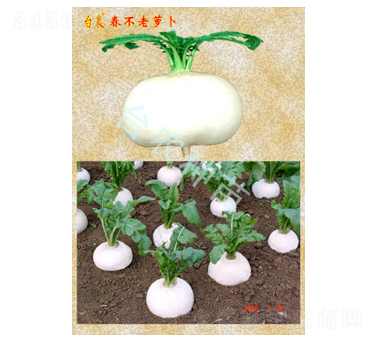 �������}��-�}���N��-�_(t��i)�r(n��ng)�N��