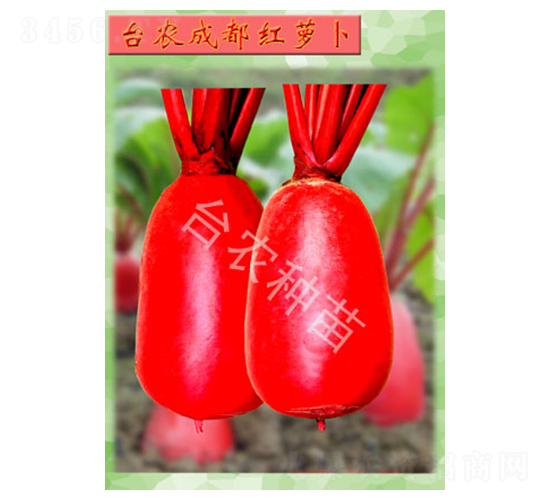 �ɶ��t�}��-�}���N��-�_�r(n��ng)�N��