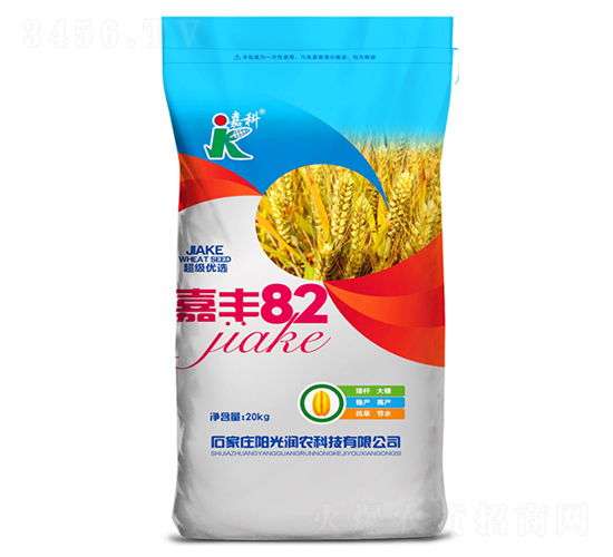 ���S82-С���N��-�ο�