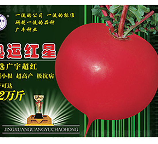 �}���N��-�W�\(y��n)�t��-����