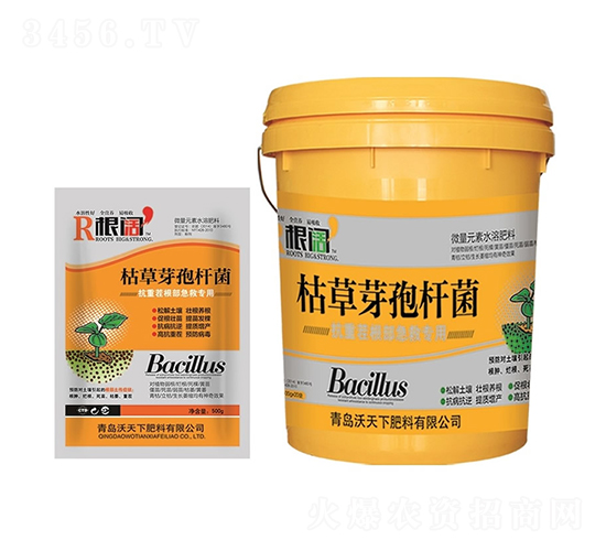 �ݲ�ѿ�ߗU�������ز磩-���-������