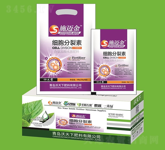 ����������-ʩ�~��-������