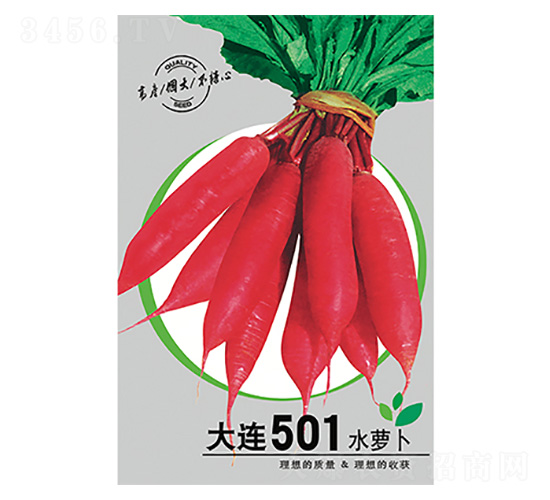 ˮ�}��-���B501-����