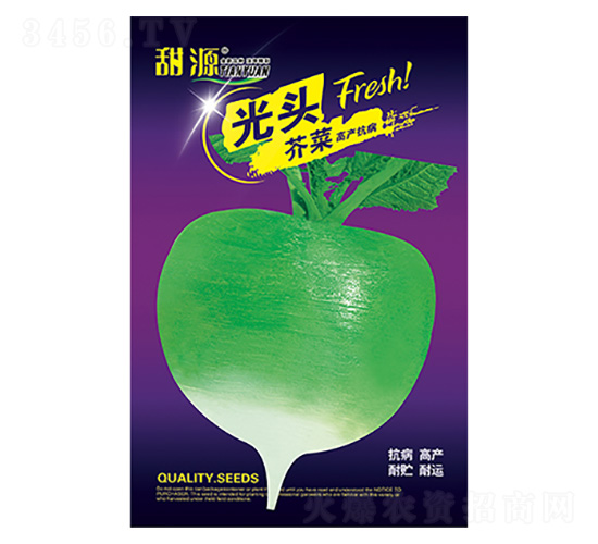 �}���N��-���^���-����