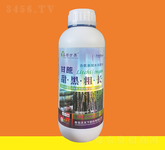 ������ڴ��L-ʥ���f��-������