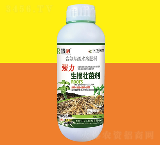 �����������焩500g-���-������