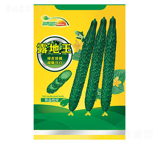 �S�ϷN��-�G����-����