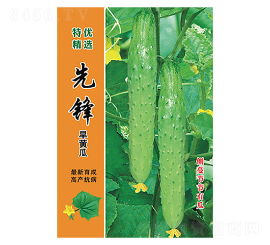 ���h���S��-����