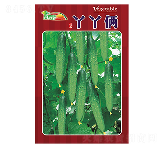 �S�ϷN��-ѾѾ�z-����