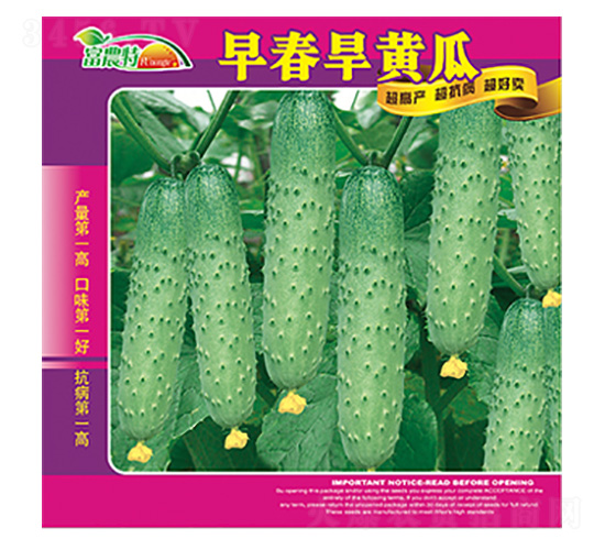 �紺���S��-����