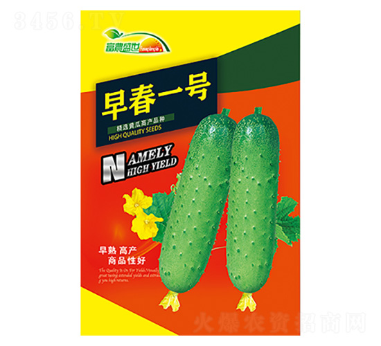 �紺һ̖-����