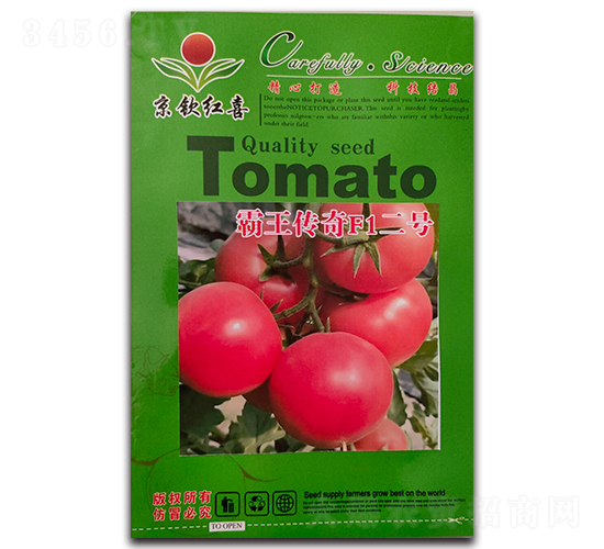 ��������F1��̖-���t���N��-���J�tϲ