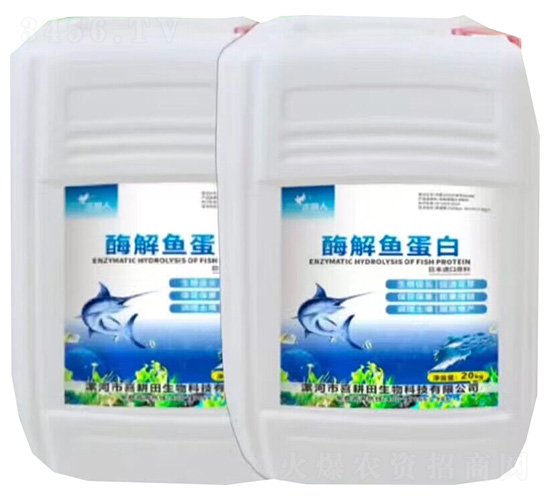 ø���~����-�f�@��-ϲ����