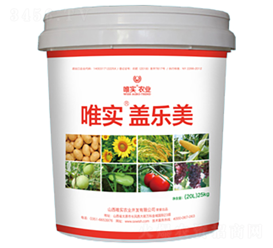 Ψ�����w����