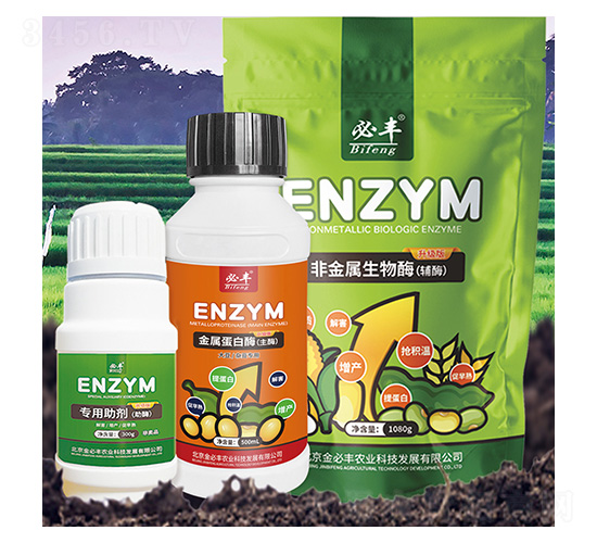 ���ٵ���ø-����S