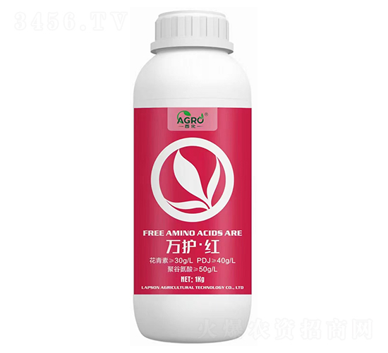 �f�o���t-����-������