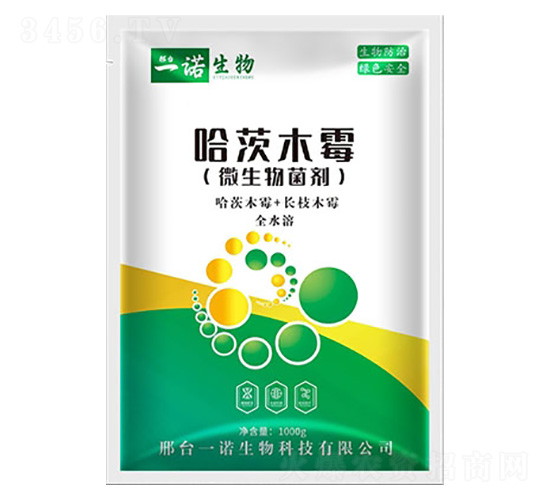 ����ľù��-���Z����