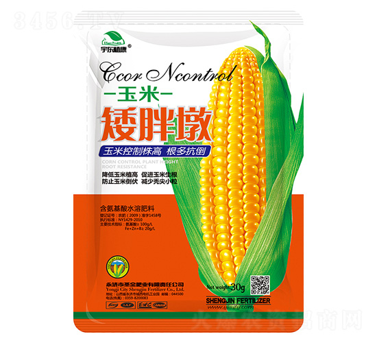 ���װ��ֶ�-��|ֲ��-ʥ��ʘI(y��)