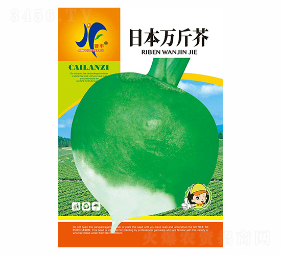 �ձ��f���-�x�S-��ʢ�S