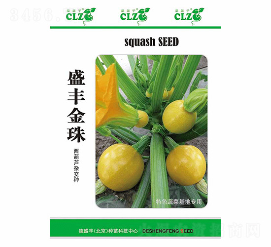 ʢ�S����-��ʢ�S