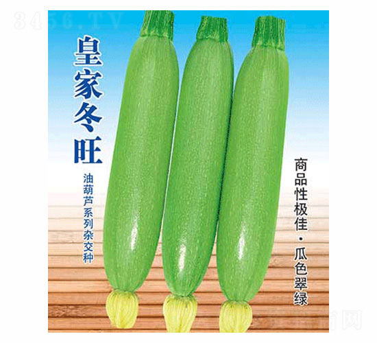 �ʼҶ���-��ʢ�S