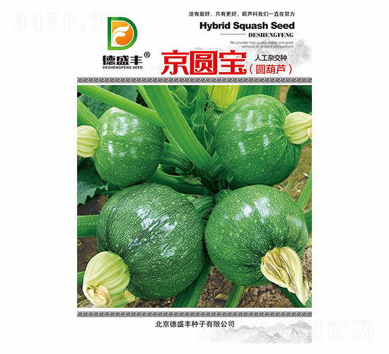 ���A��-��ʢ�S