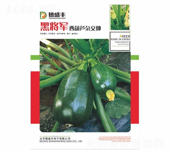 �ڌ�܊-��ʢ�S