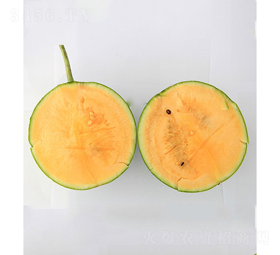 ���r(n��ng)��Ʒ2̖(h��o)-���ϷN��-���r(n��ng)�r(n��ng)�I(y��)