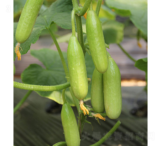 ��ͯ-ˮ���S��-���r(n��ng)�r(n��ng)�I(y��)