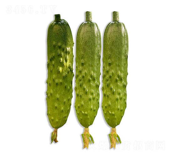 ���r(n��ng)�G��2̖(h��o)-�S�ϷN��-���r(n��ng)�r(n��ng)�I(y��)