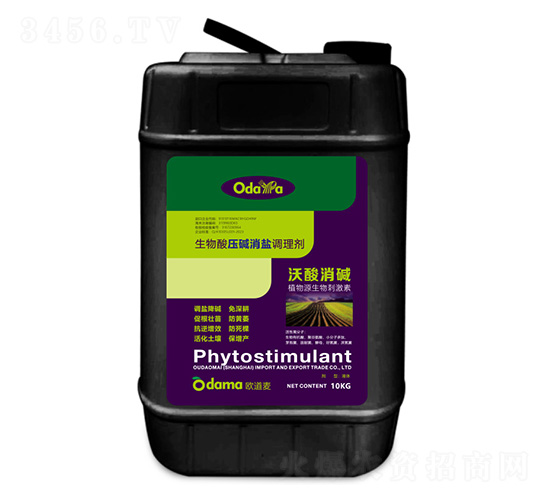 �����ቺ�A���}�{(di��o)�턩-�������A-�W����